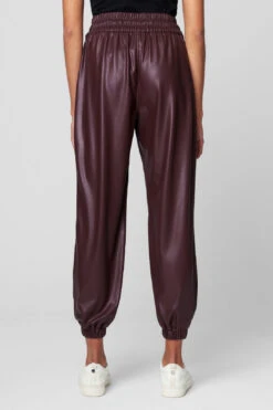 Blank NYC Grape Shake Pant 8 Blank NYC Grape Shake Pant -Blank NYC Shop 01gb2948 grape shake 4